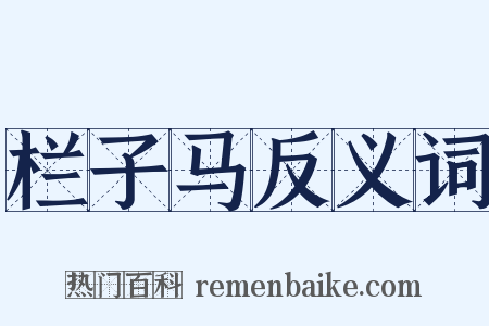 栏子马反义词是什么意思的图片